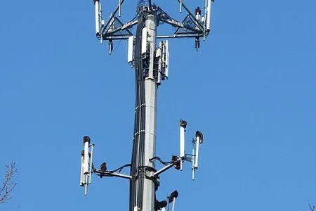 Celltower.jpg