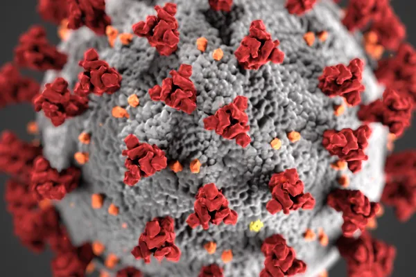 corona_virus.png