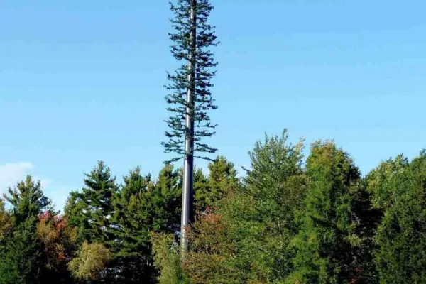 cell_phone_tree.jpg