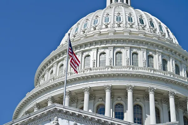 capitol_dome_flag.jpg