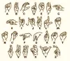 ASL.jpg