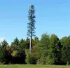 cell_phone_tree.jpg