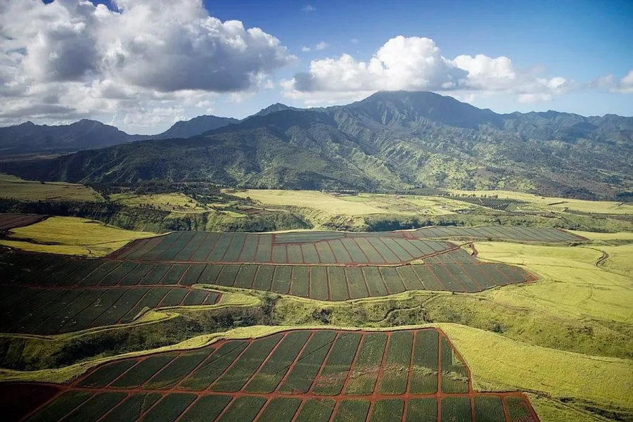 rural_hawaii.jpg